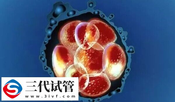 4cb囊胚是不是质量最差的