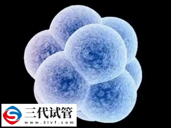 试管婴儿解冻生二胎要做哪些检查