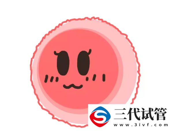 三代试管囊胚生化(图2)