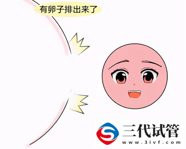 试管三代移植优胚着床后基本不会胎停是真的吗看情况！(图1)