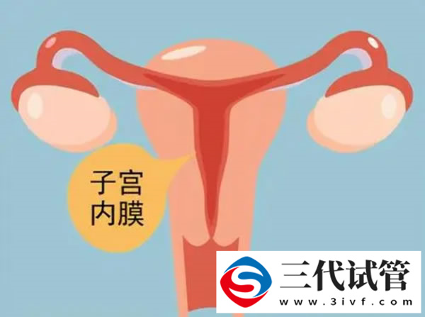 试管胚胎染色体异常的概率避免染色体异常做三代试管可以吗(图1)