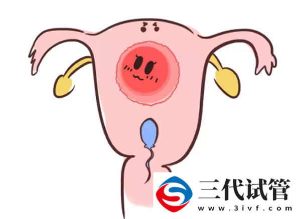 三代试管移植鲜胚2个一个流产一个着床(图2)